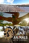 Animales con cámaras (BBC Earth)